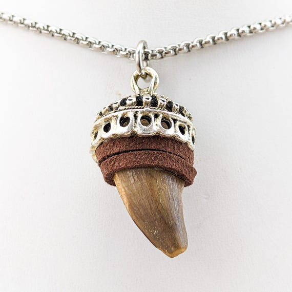 Dinosaur Tooth Necklace Real Mosasaur Fossil Dino Tooth Jewelry
