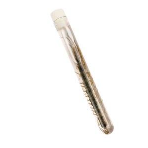 May include: A clear, cylindrical vial with a white cap, containing a preserved centipede. The centipede is a dark color with numerous legs and segments, visible through the transparent glass. The vial is angled against a white background.