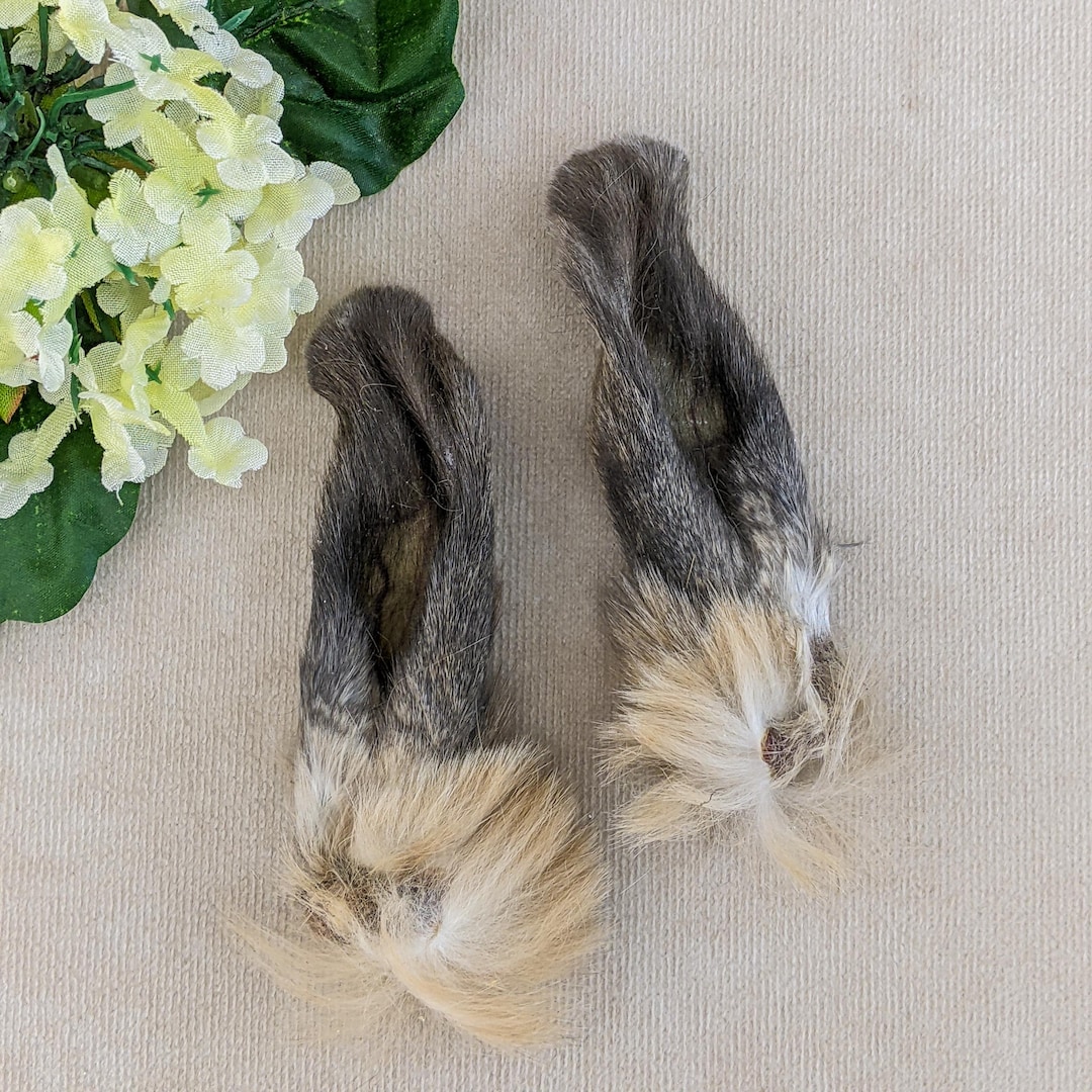 Rabbit Ear Pair 4