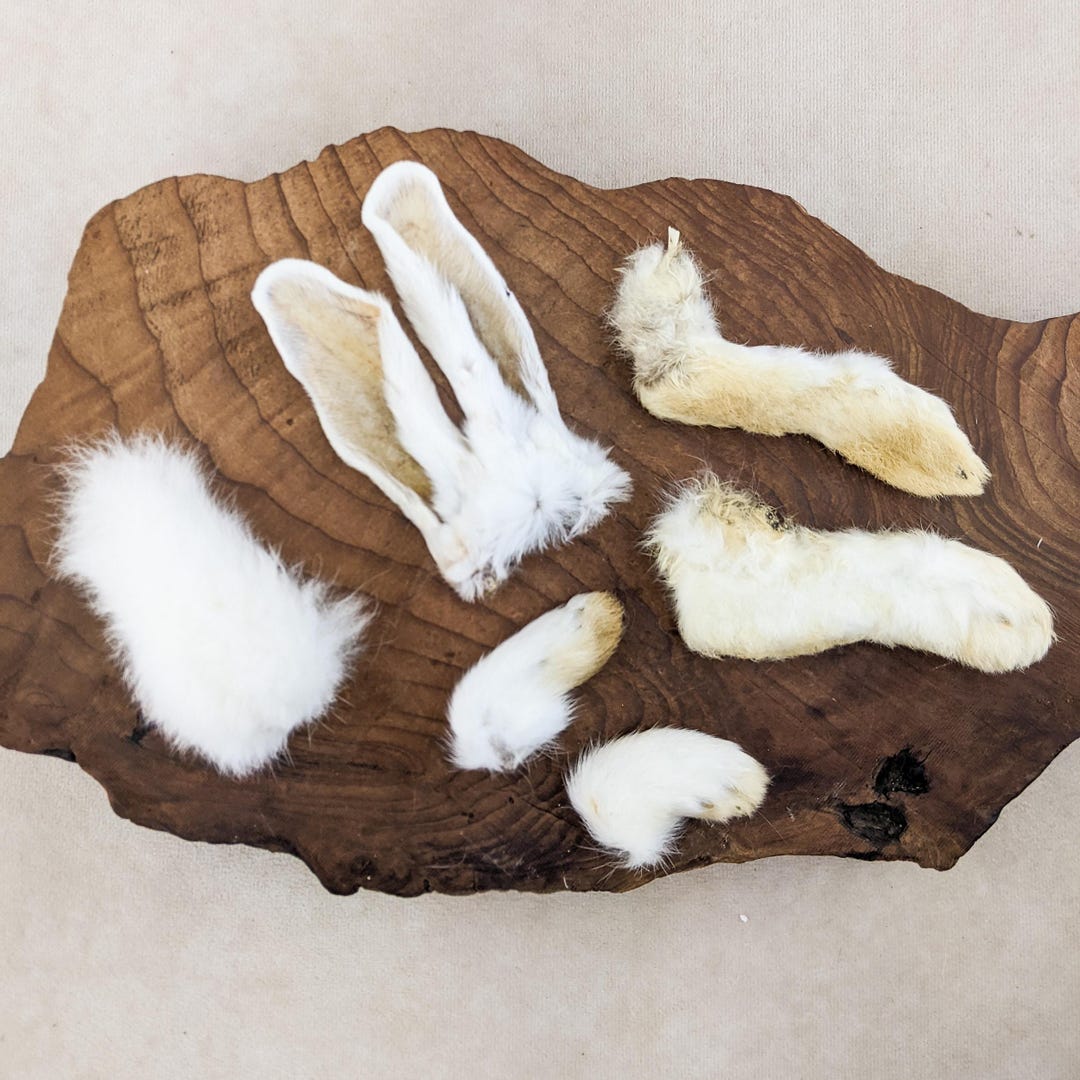Fake Rabbit Paws Rabbit Feet Tail & Ears (4 1/4-1/2