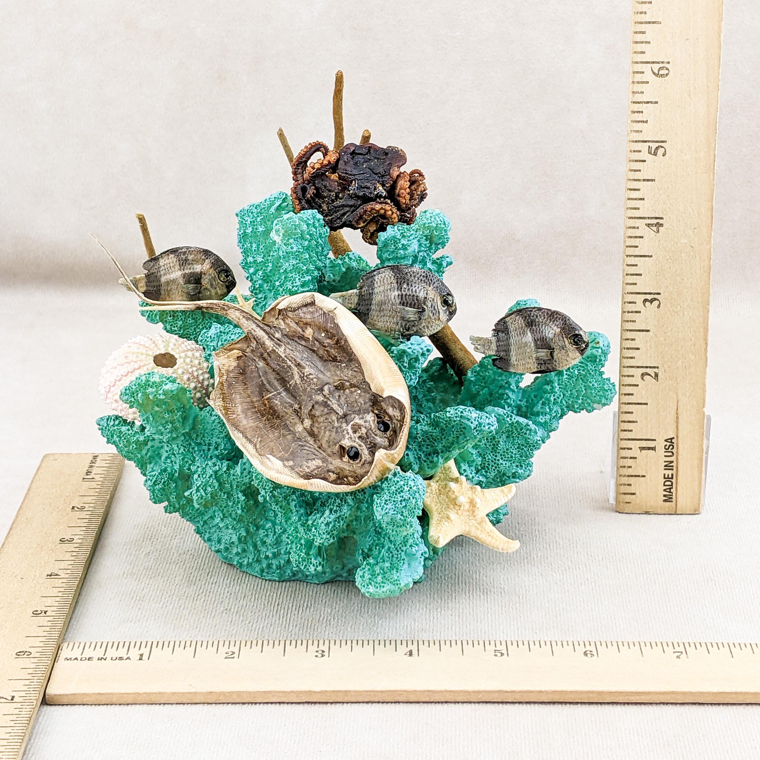 Real Stingray, 3 Damsel Fish, Octopus Nautical Display on Faux