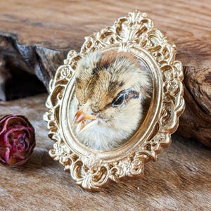 May include: A detailed close-up of a chick's head, framed within an ornate gold oval frame. The chick has brown and tan feathers, a yellow beak, and a dark eye. A dried rose is visible to the left.