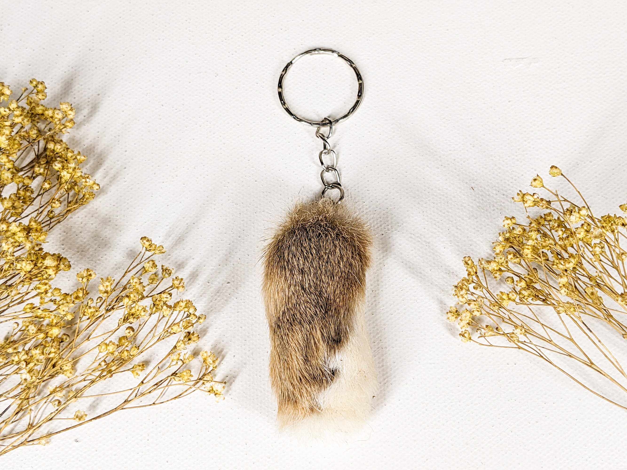 Real rabbit deals foot keychain
