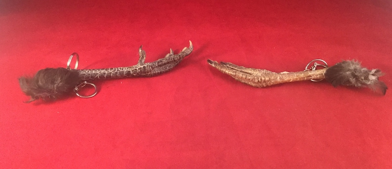 Q1 Taxidermy Chicken Foot Key Chain talisman voodoo pirate costume farmer collectible specimen