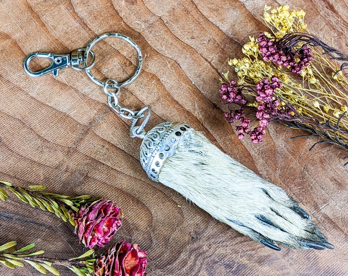 Raccoon foot key chain taxidermy Talisman Oddities curiosities keychain Genuine preserved animal paw lucky occult magic curio cabinet witchy
