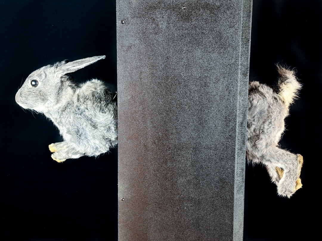 Rabbit Front & Back Between Rooms Collectible Oddity Wall Decor Hanging ...