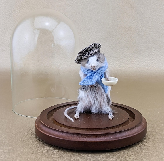 Oliver Twist Mouse Street Urchin Taxidermy Oddities Curiosities