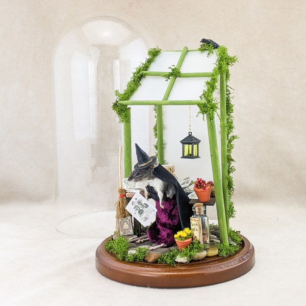 Greenhouse Witch Mouse Dome Collectible Taxidermy Oddities Curiosities cottagecore fantasy mystical magic maximalism witch wiccan pagan