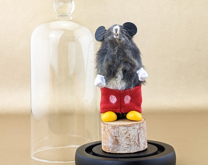 S36a Mikey Mouse White Taxidermy Oddities Curiosities Glass Dome Display Decor home oddity curiosity funny gift anthropomorphic preserved