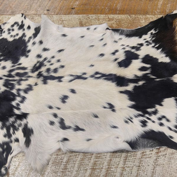 Taxidermy Goat Hide Rug, Black and White spotted-#23  Western decor-rustic-farm-kitchen-wall