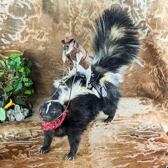 A fully staged Wild West taxidermy diorama featuring a cowboy rat and skunk — genuinely museum-worthy oddity craft that you absolutely cannot buy at Target.