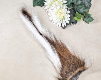 Natural Deer Tail 15" Dried Preserved Oddities Curiosities Large real dried animal pelt crafting hair fly-tying rustic cabin home decor gift