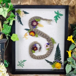 May include: A framed display featuring a preserved rattlesnake arranged in an S-shape on a light-colored background, decorated with dried flowers in shades of purple, yellow, and white, along with green fern leaves and moss accents.