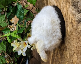 Rabbit Crush Ass Rabbit Crush Ass