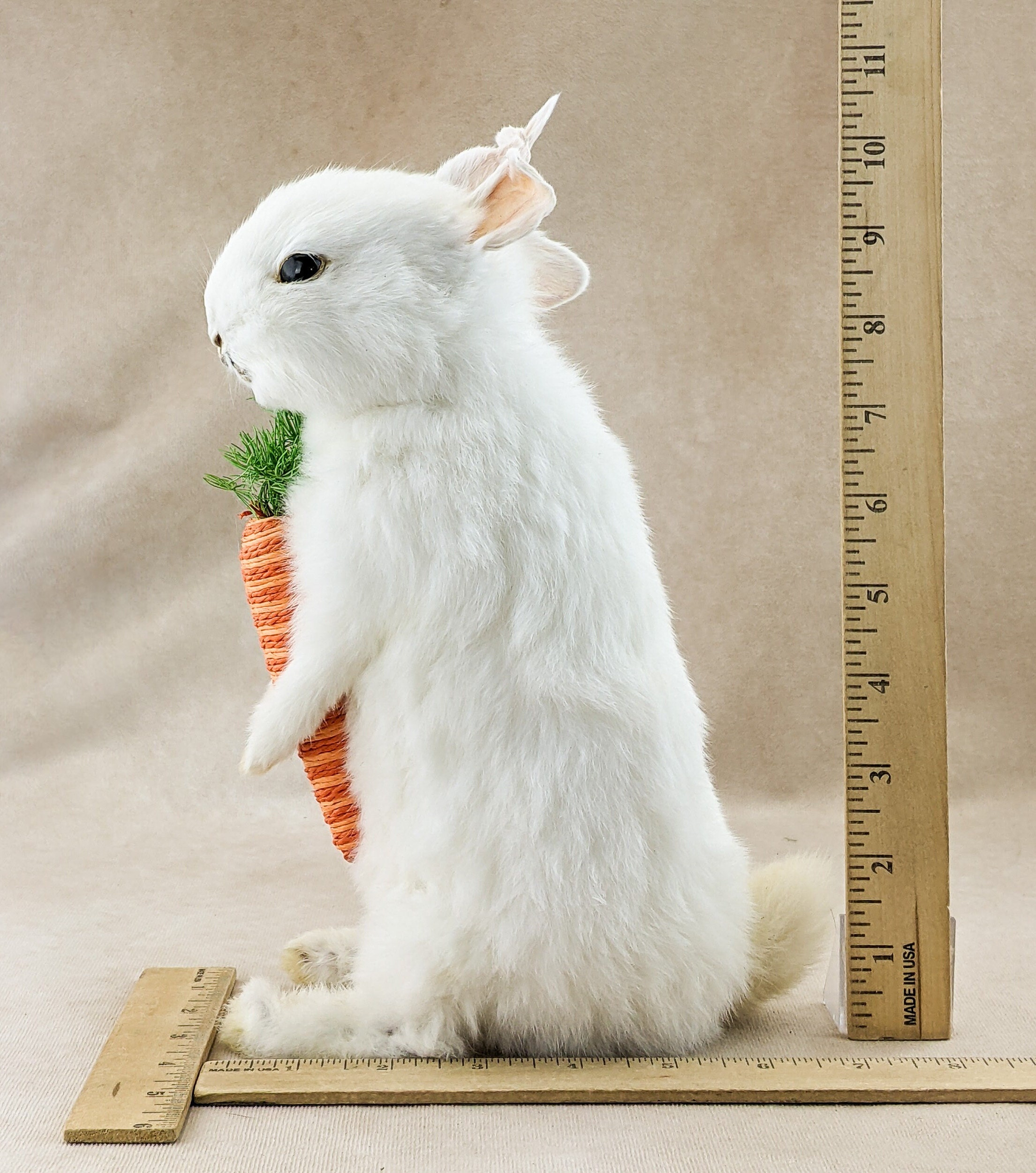 Two-headed Baby Bunny Rabbit Gaff Taxidermy Oddities Curiosities