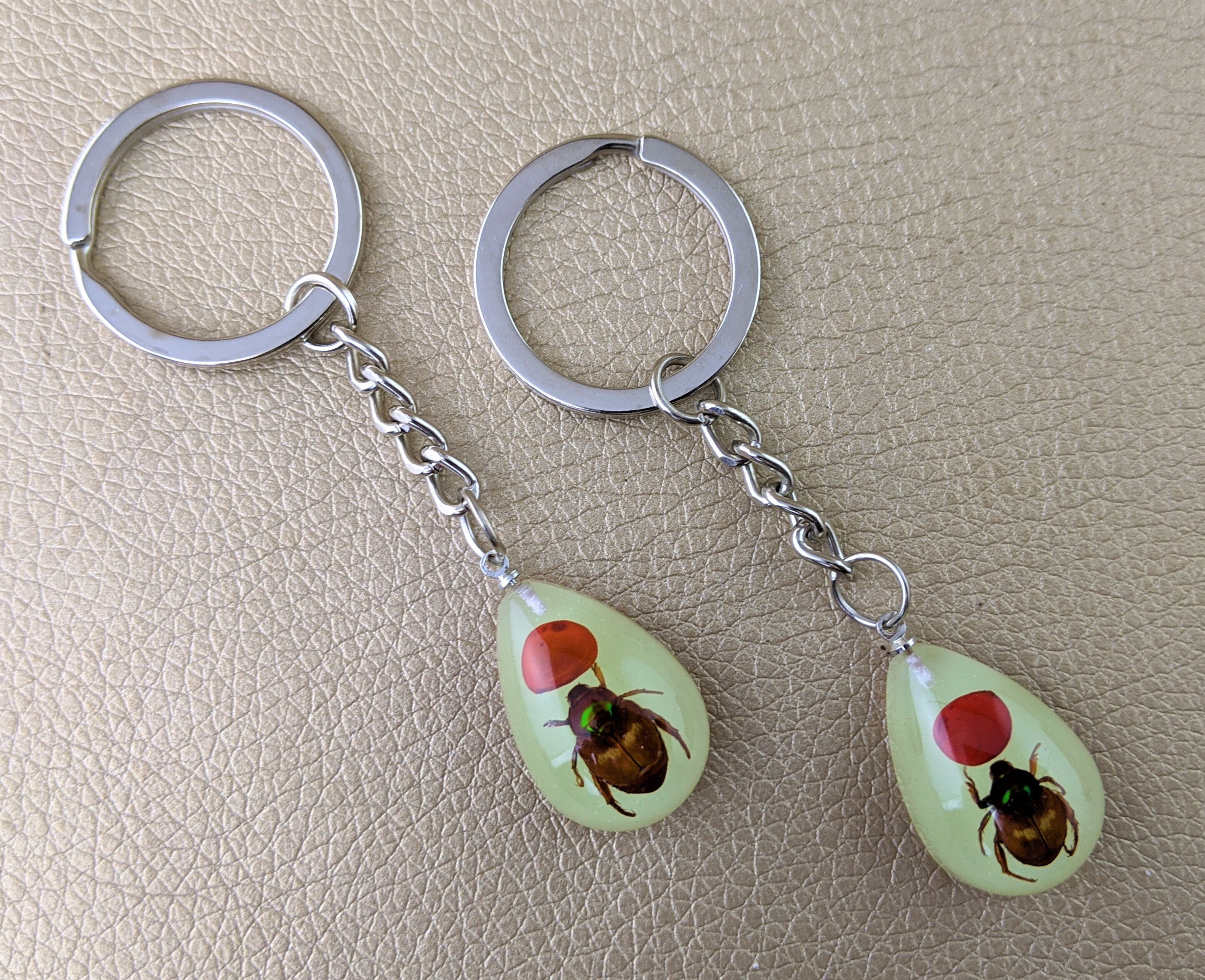 W15d Resin real Taxidermy Bug Beetle Key Chain curiosities Etsy