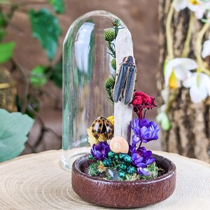 May include: A miniature terrarium with a glass dome, featuring a wooden base filled with dried flowers, a ladybug, and a firefly on a wooden stick. The arrangement includes purple and red flowers, and a small seashell. The terrarium is set on a wooden surface.