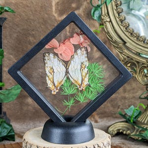 May include: A framed butterfly display featuring a butterfly with white and tan wings, set against a backdrop of pink flowers and green foliage. The black frame is mounted on a black base, which is placed on a wooden slice.