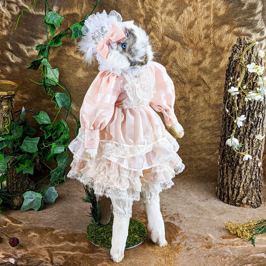 Rabbit Victorian Child Doll Fancy Taxidermy Oddities Curiosities ...