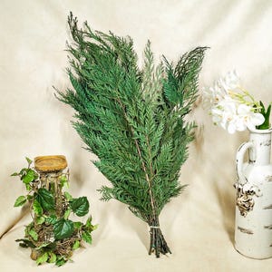 May include: A bundle of dark green cedar branches with needle-like foliage, positioned centrally between a small decorative pillar wrapped in green ivy vines and a white ceramic pitcher containing a cluster of white flowers.
