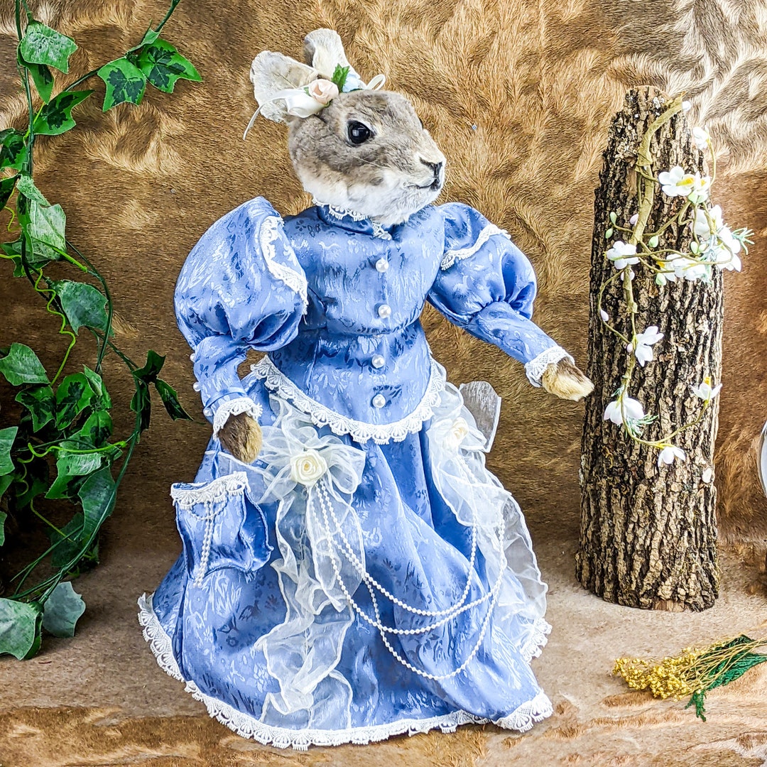 Rabbit Animated Musical Music Box Fancy Dress Doll Taxidermy Oddity ...