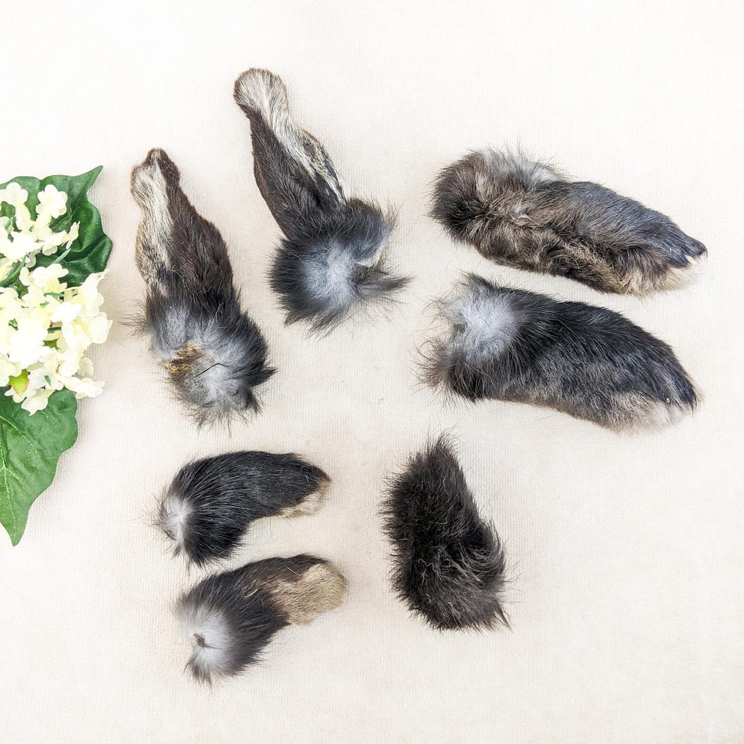 Rabbit Feet Tail & Ears (4 1/2