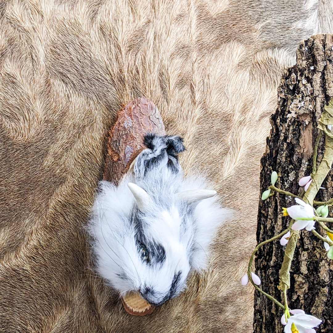 W143k Jackalope Rabbit Head Hanging Mount Display Collectible ...