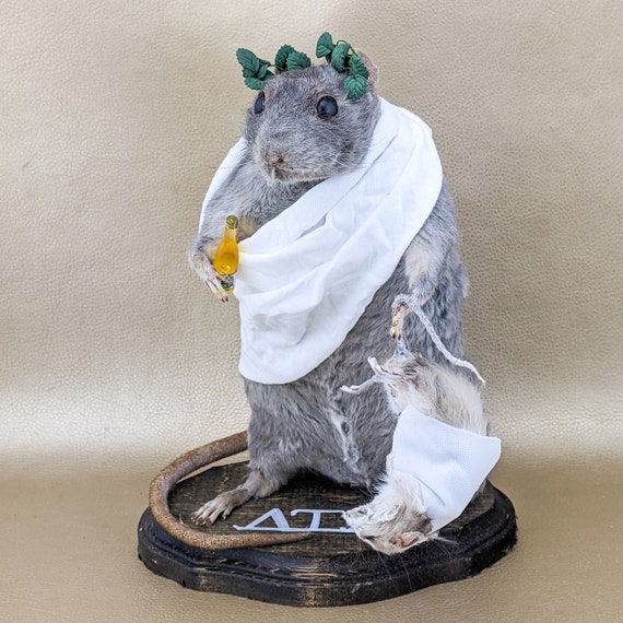 6 Piece Halloween Rat Decorative Accent