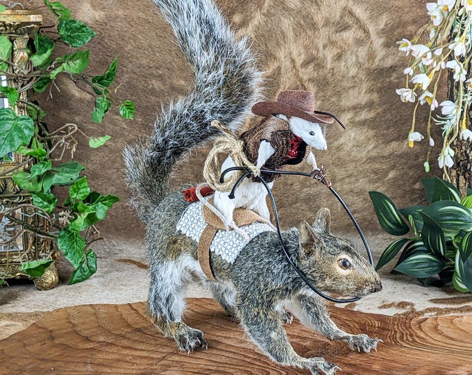 Cowboy Real Mouse Riding Real Squirrel Cute Taxidermy Oddities ...