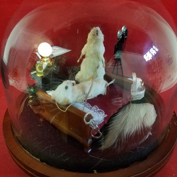 SALE-Taxidermy Mouse/Mice Compromising Position/Mouse bedroom porn-anthropomorphic-diorama-bedroom scene-home movie