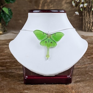 Luna Moth necklace Stainless steel silver Chain Pendant fashion jewelry Green Oddity curiosity Mystical Fairy Acrylic Fantasy Butterfly gift
