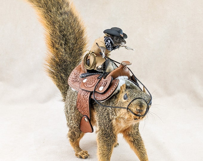 Cowboy Mouse Riding Real Squirrel Cute Taxidermy Oddities Curiosities western decor wild west rustic cabin mancave gifts rodent mount funny