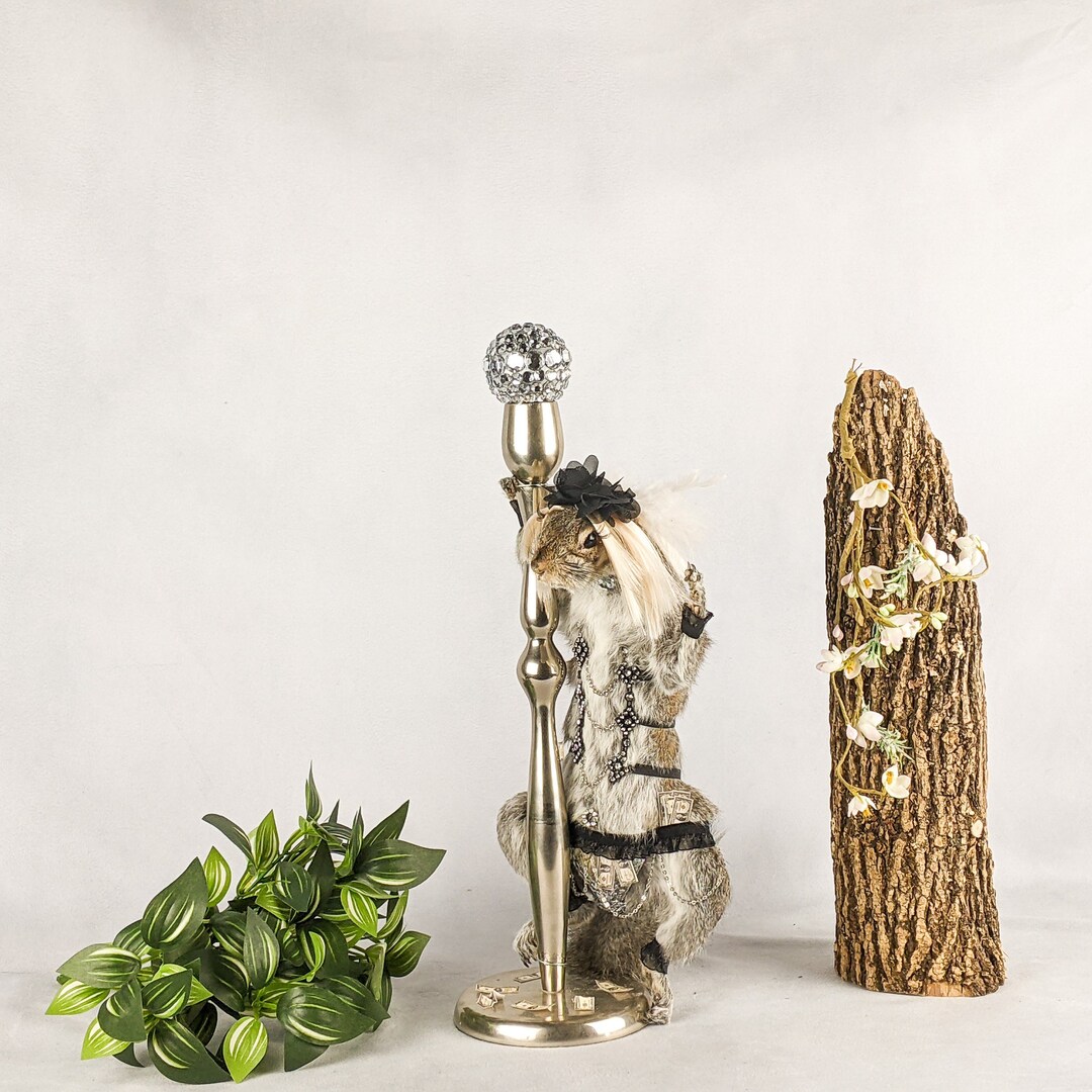 Stripper Squirrel Pole Burlesque Showgirl Taxidermy Oddities