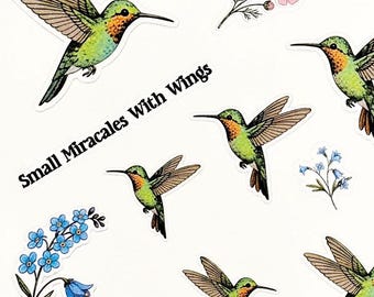 Hummingbird Sticker Sheet, FREE SHIPPING, Planner Journaling Sticker Set, Flower Stickers, Hummingbird Stickers, Jewels of the Sky