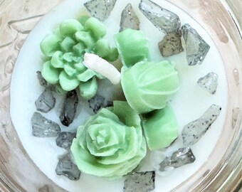 Cactus Terrarium Candles, Succulent Candles, Desert Garden, Desert Candles, Succulent Art Gifts, Desert Art, Garden Gifts, Mother's Day Gift