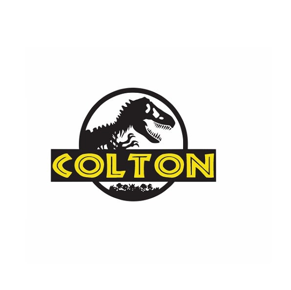 Dinosaur Name Wall Decal Sticker Large kids bedroom big fun Etsy