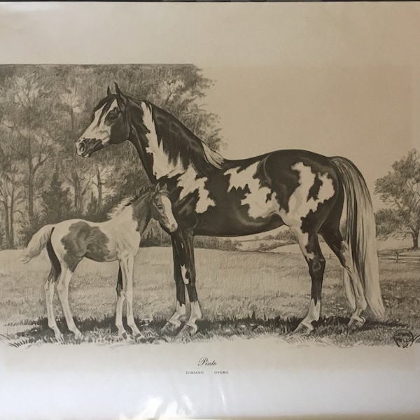 Vintage Jeanne Mellin print titled Pinto pony mare and foal