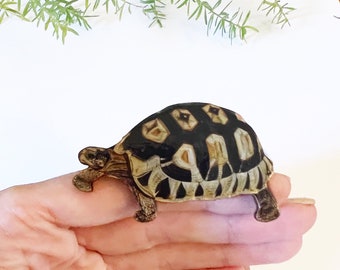 Large tortoise brooch, handmade tortoise gift