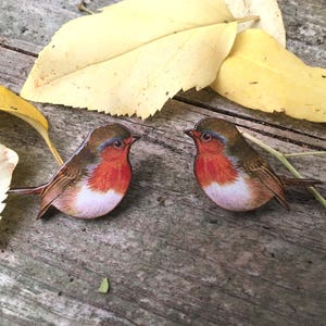 Robin collar pins, robin pins