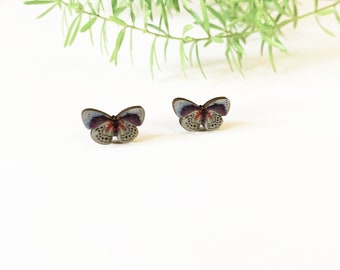 Blue butterfly studs, tiny butterfly earrings