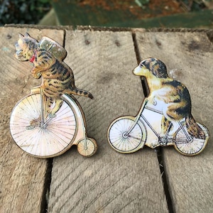 Grote honden- of kattenbroche: Victoriaanse wielerdierspeld