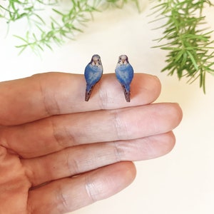 Budgie stud earrings, little bird earrings, Blue OR green budgie studs