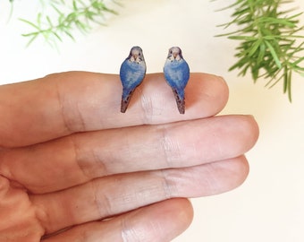 Budgie stud earrings, little bird earrings, Blue OR green budgie studs