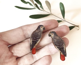 Grey Parrot pin, Bird collar pins - single or pair