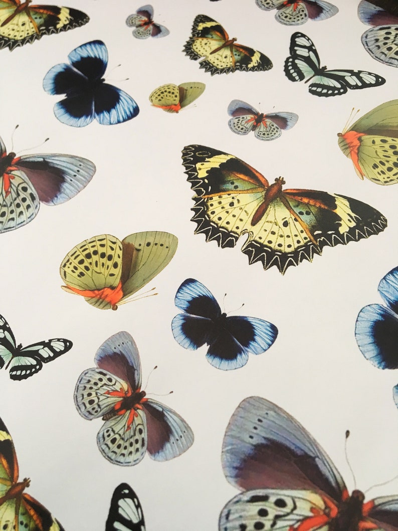 Butterfly wrapping paper recycled gift wrap | Etsy