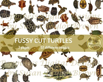 FUSSY CUT Turtles | Junk Journal Printable | Nature Journal Ephemera