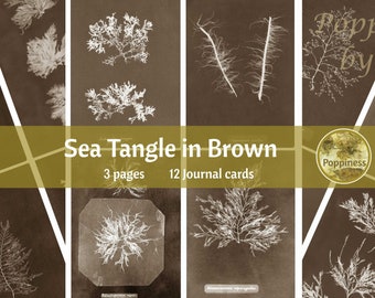 SEA TANGLE in Brown | Digital Download for Vintage Nature Junk Journal | Collage Sheet for Paper Crafters