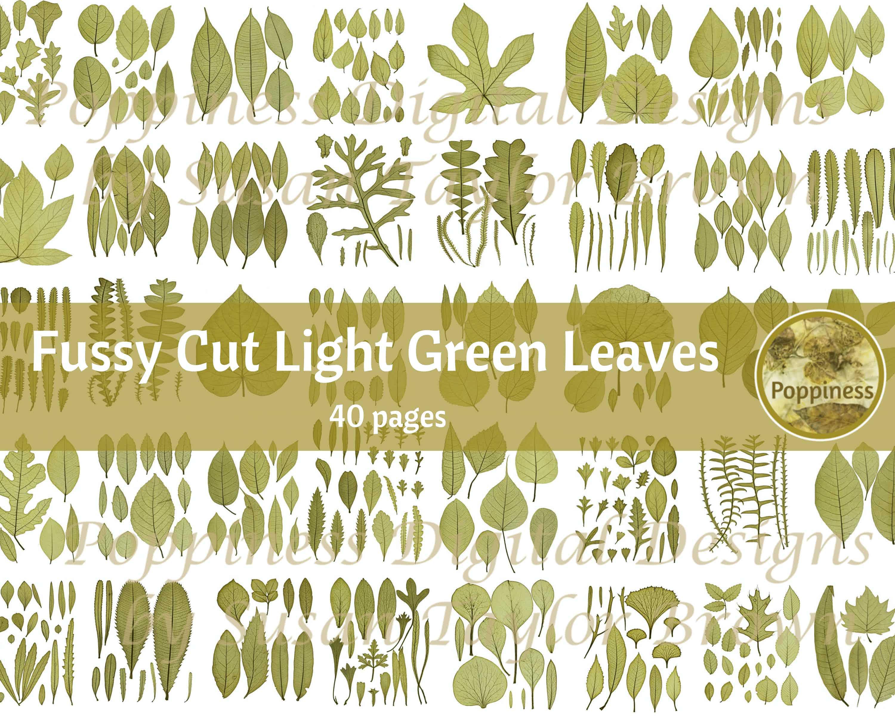 BOTANICAL JOURNAL ephemera pack green Fussy cut digital ephemera printable junk journal kit printable mini junk journal kit printable