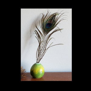 May include: A single peacock feather in a green and yellow ceramic vase. The vase is round and has a smooth, glossy finish.