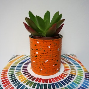 Puede incluir: Una planta suculenta en una pequeña lata de hojalata pintada de naranja con motas blancas. La lata está sobre un fondo colorido.
